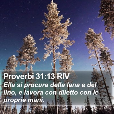 Proverbi 31:13 RIV Bible Verse Image