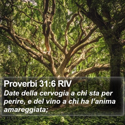 Proverbi 31:6 RIV Bible Verse Image