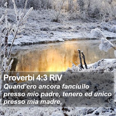Proverbi 4:3 RIV Bible Verse Image
