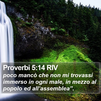 Proverbi 5:14 RIV Bible Verse Image