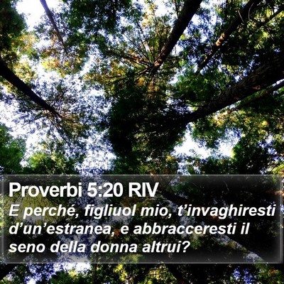 Proverbi 5:20 RIV Bible Verse Image