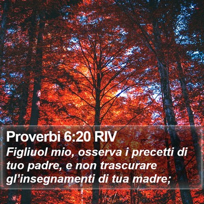 Proverbi 6:20 RIV Bible Verse Image