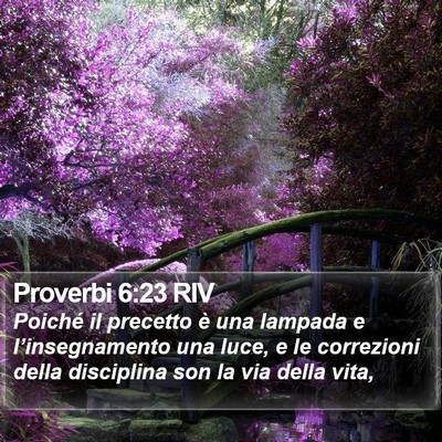 Proverbi 6:23 RIV Bible Verse Image