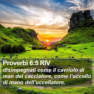 Proverbi 6:5 RIV Bible Verse Image