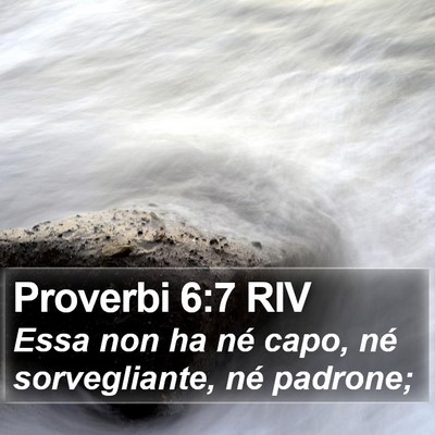 Proverbi 6:7 RIV Bible Verse Image