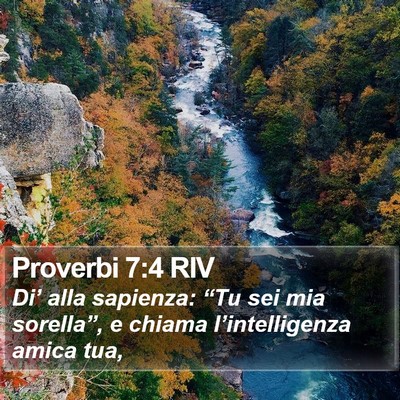 Proverbi 7:4 RIV Bible Verse Image