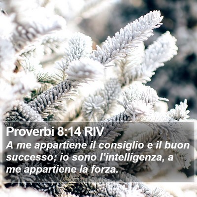 Proverbi 8:14 RIV Bible Verse Image