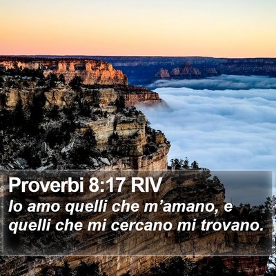 Proverbi 8:17 RIV Bible Verse Image