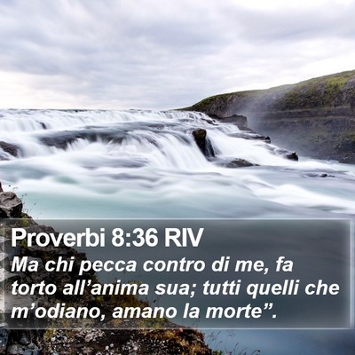 Proverbi 8:36 RIV Bible Verse Image