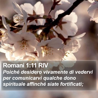 Romani 1:11 RIV Bible Verse Image