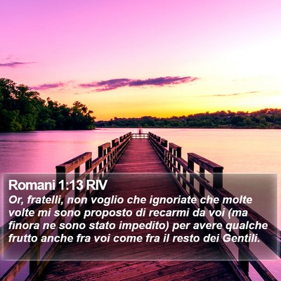 Romani 1:13 RIV Bible Verse Image