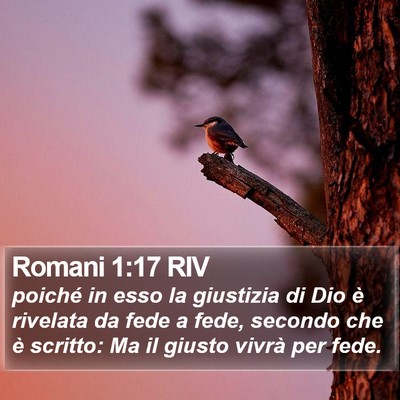 Romani 1:17 RIV Bible Verse Image