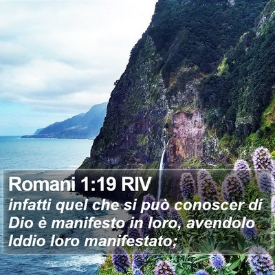 Romani 1:19 RIV Bible Verse Image