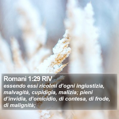 Romani 1:29 RIV Bible Verse Image