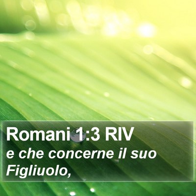 Romani 1:3 RIV Bible Verse Image
