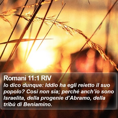 Romani 11:1 RIV Bible Verse Image