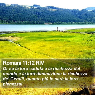 Romani 11:12 RIV Bible Verse Image