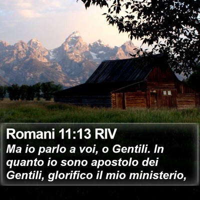 Romani 11:13 RIV Bible Verse Image