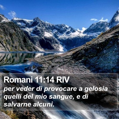 Romani 11:14 RIV Bible Verse Image