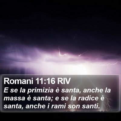 Romani 11:16 RIV Bible Verse Image