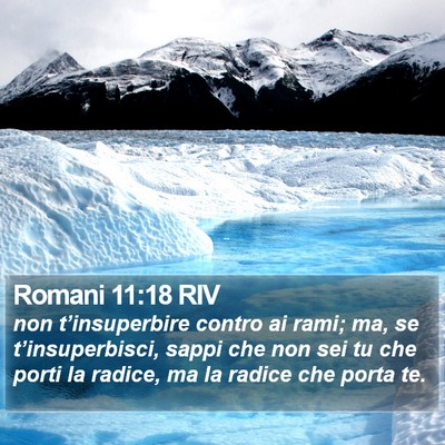 Romani 11:18 RIV Bible Verse Image