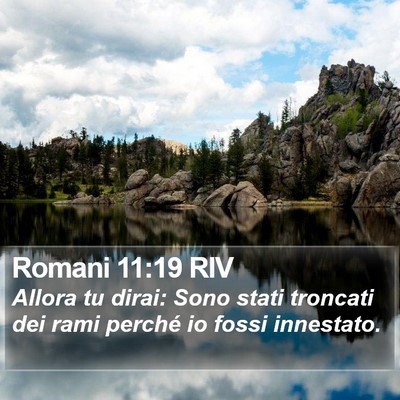Romani 11:19 RIV Bible Verse Image