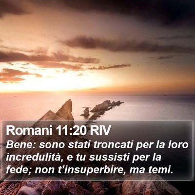 Romani 11:20 RIV Bible Verse Image
