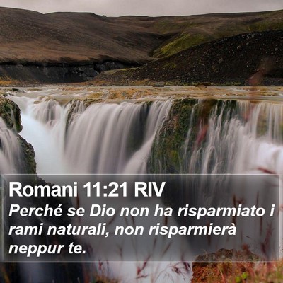 Romani 11:21 RIV Bible Verse Image