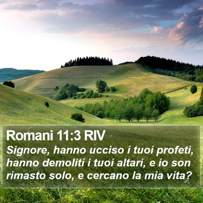 Romani 11:3 RIV Bible Verse Image
