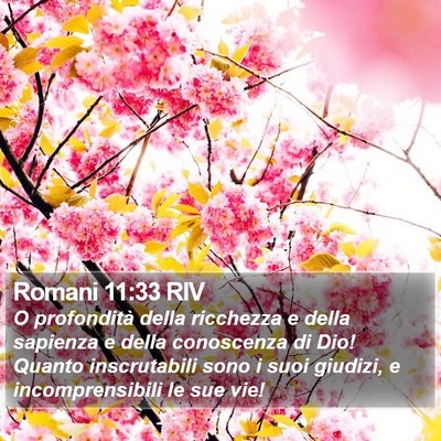 Romani 11:33 RIV Bible Verse Image