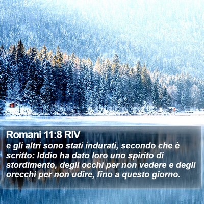 Romani 11:8 RIV Bible Verse Image