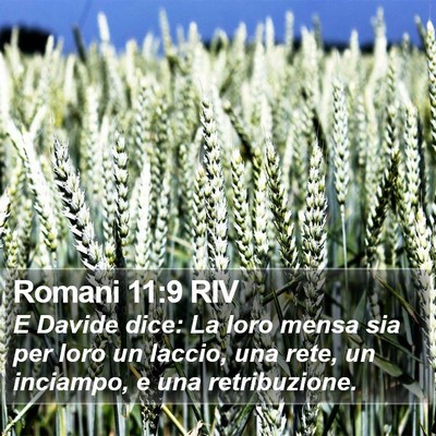 Romani 11:9 RIV Bible Verse Image