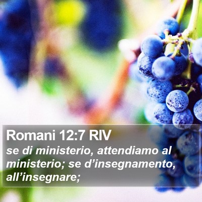 Romani 12:7 RIV Bible Verse Image