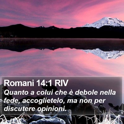 Romani 14:1 RIV Bible Verse Image