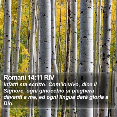Romani 14:11 RIV Bible Verse Image