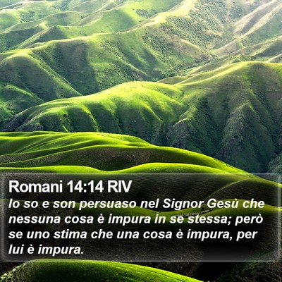 Romani 14:14 RIV Bible Verse Image