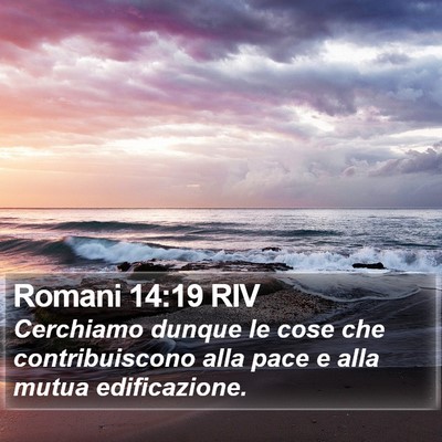 Romani 14:19 RIV Bible Verse Image
