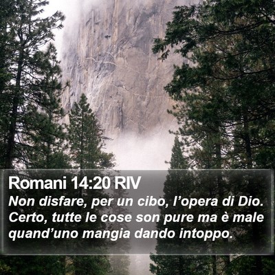 Romani 14:20 RIV Bible Verse Image