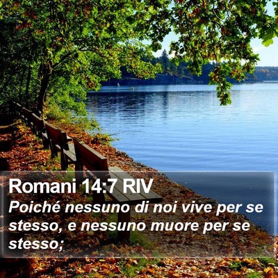 Romani 14:7 RIV Bible Verse Image