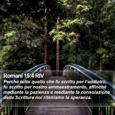 Romani 15:4 RIV Bible Verse Image
