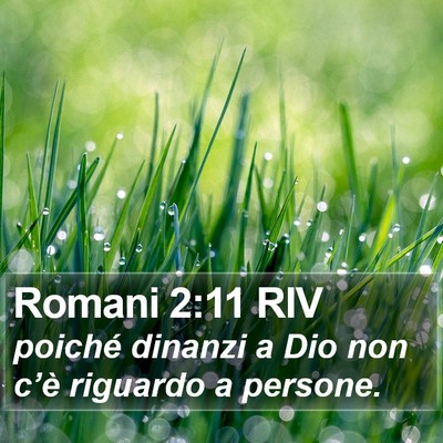 Romani 2:11 RIV Bible Verse Image