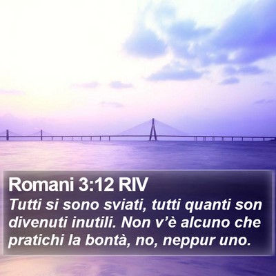 Romani 3:12 RIV Bible Verse Image