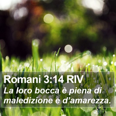 Romani 3:14 RIV Bible Verse Image