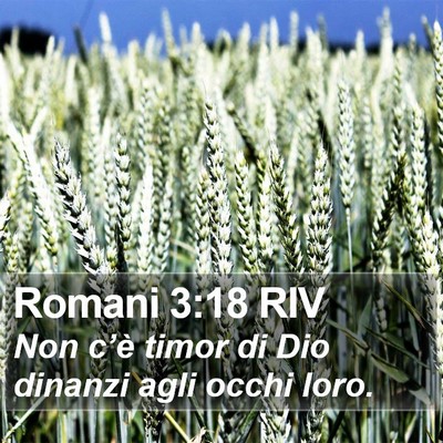 Romani 3:18 RIV Bible Verse Image