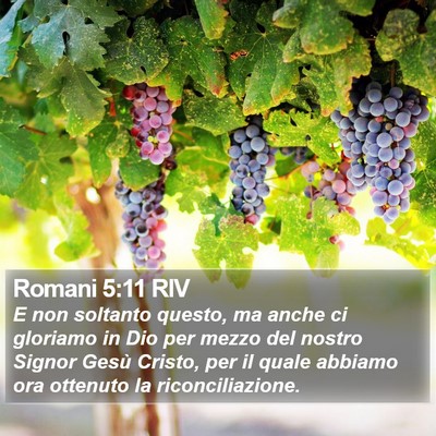 Romani 5:11 RIV Bible Verse Image
