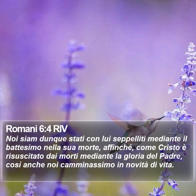 Romani 6:4 RIV Bible Verse Image