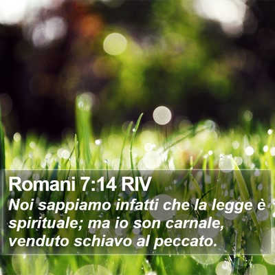 Romani 7:14 RIV Bible Verse Image