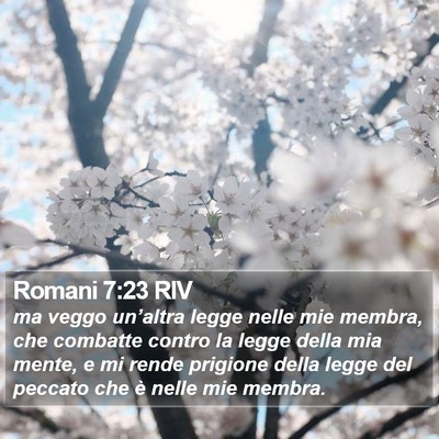 Romani 7:23 RIV Bible Verse Image