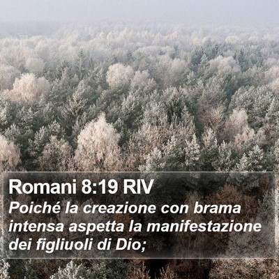 Romani 8:19 RIV Bible Verse Image