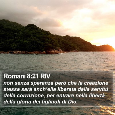 Romani 8:21 RIV Bible Verse Image